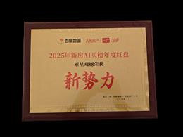 �ٶȵ؈D2025���·�AI�I����ȼt�P�����^�Иs�@����